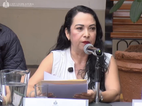 Denuncia Ana Vergara presunto daño patrimonial en Juanacatlán