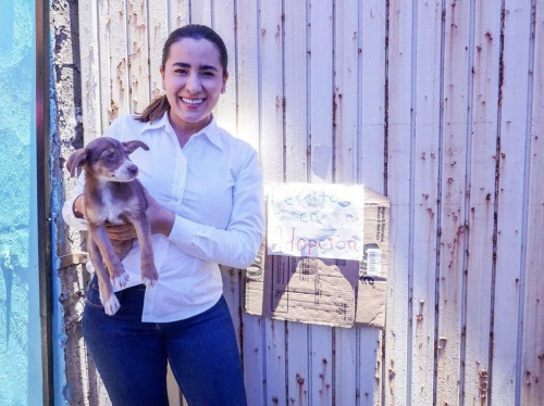 Propone Fany Padilla crear nueva Dirección de Bienestar y Protección Animal en El Salto