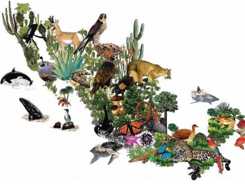 3 de marzo: Día Mundial de la Vida Silvestre  