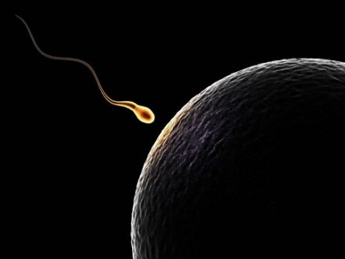 Causas más comunes de infertilidad en mujeres