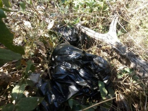 Confirman hallazgo de bolsas con restos en Zapotlanejo