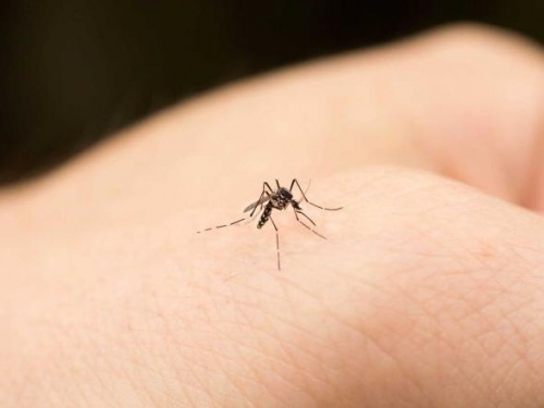 A la alza dengue en Jalisco