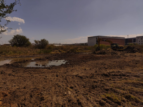 Denuncian a CUTonalá por invadir humedal para edificar estacionamiento