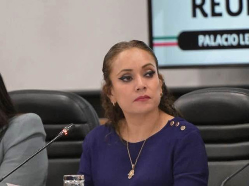 Diputada Federal Katia Castillo Lozano denuncia incidentes graves en su domicilio y desmiente haber culpado a autoridades