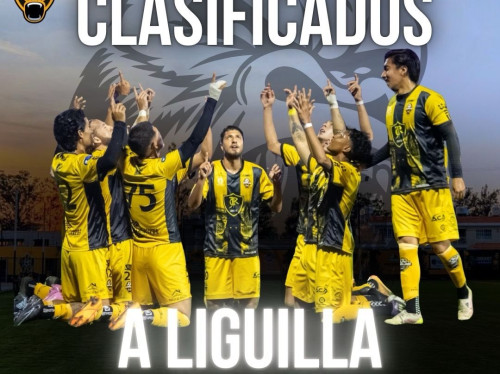 Gorilas: Primer torneo en Premier y avanzan a la Liguilla