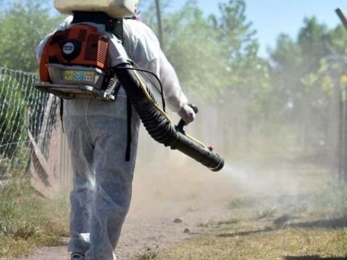 Más de 4 mil casos de dengue en Jalisco