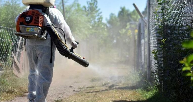 Más de 4 mil casos de dengue en Jalisco