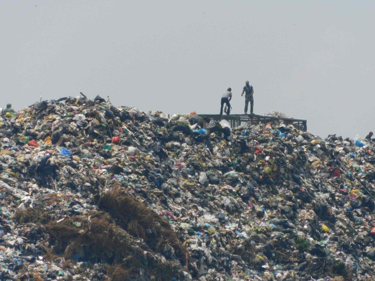 Cerca de mil trabajadores viven de la basura en Laureles