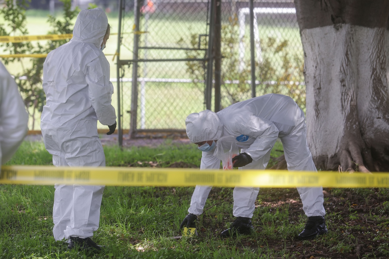 Oferta Instituto Jalisciense de Ciencias Forenses (IJCF), convocatoria para cursar Especialidad en Dictaminación Pericial