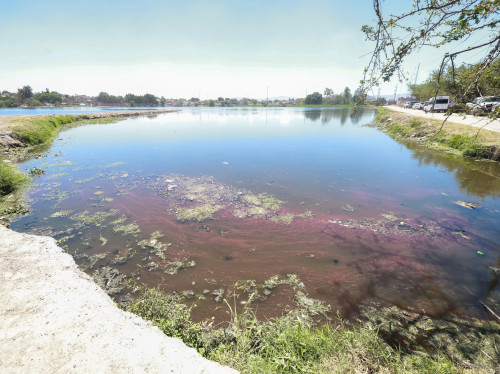 Presa de Las Pintas: CEA reporta avance menor al 5 por ciento en saneamiento