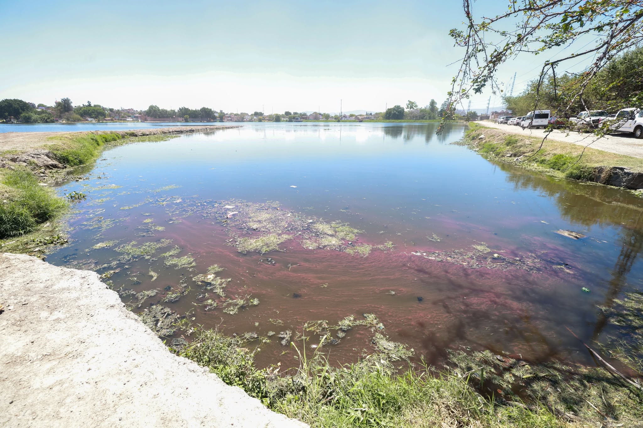 Presa de Las Pintas: CEA reporta avance menor al 5 por ciento en saneamiento