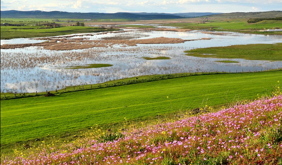 ¿Qué son y por qué debemos de proteger las llanuras de inundación?