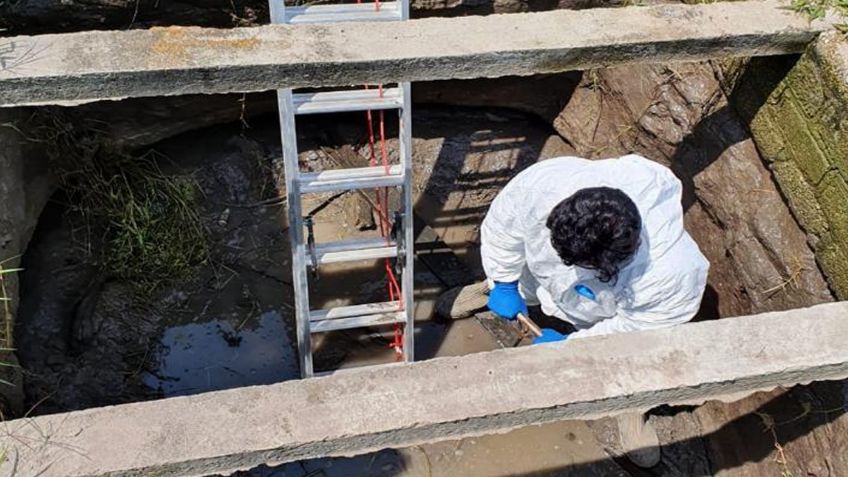 Supera Ixtlahuacán de los Membrillos a Tlajomulco en hallazgo de víctimas en fosas clandestinas