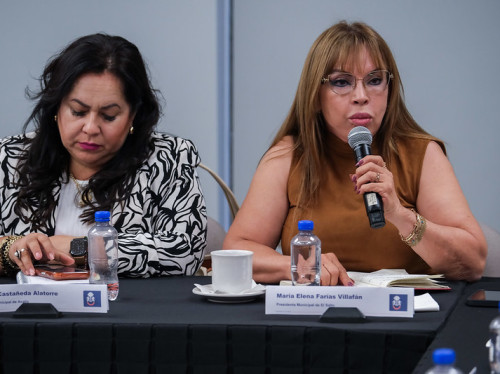 Tren de pasajeros México–Guadalajara ¿Regresa la Estación de El Castillo?