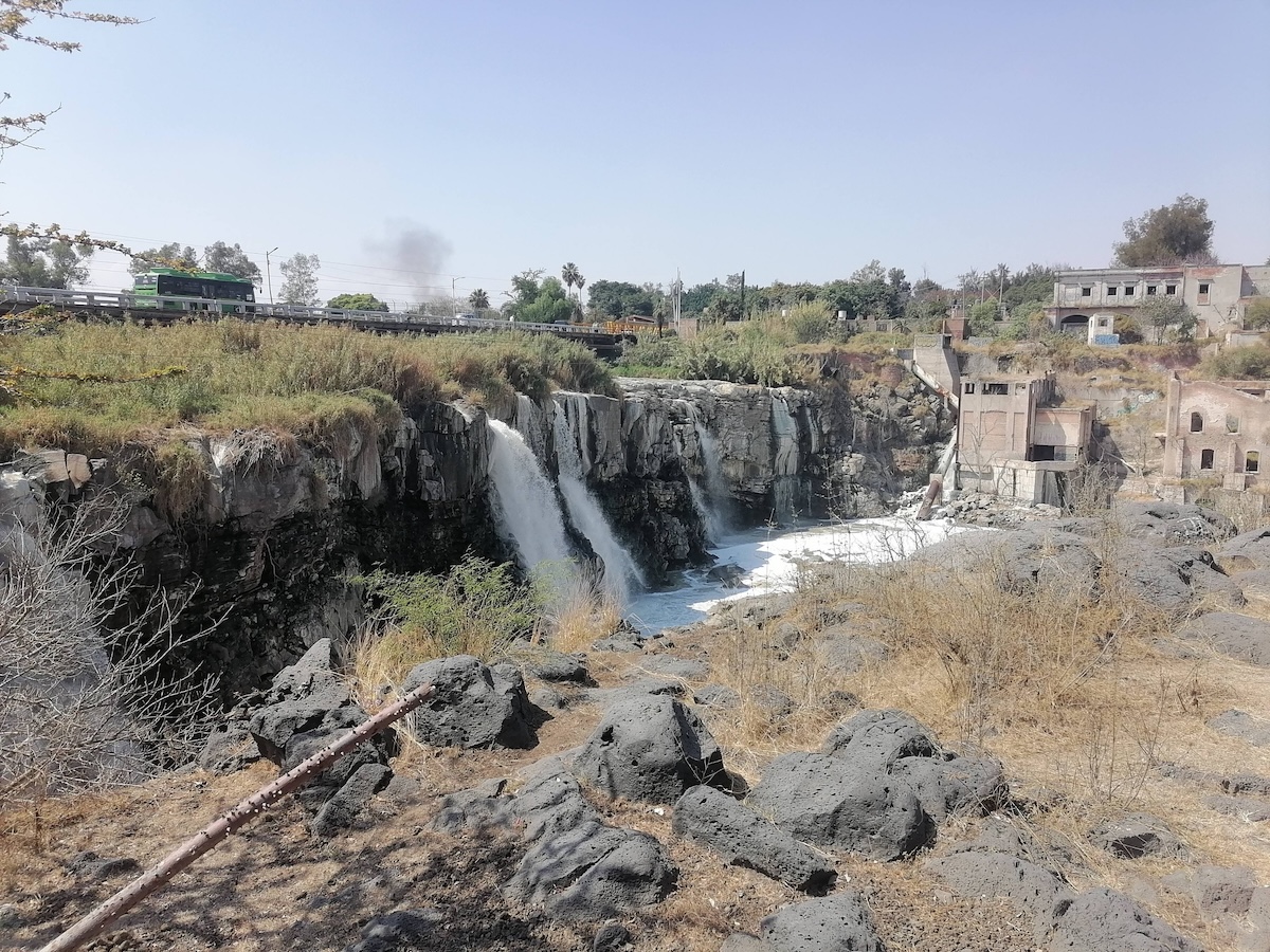 UdeG: contaminación industrial en Río Santiago rompe el ADN y condena a futuras generaciones