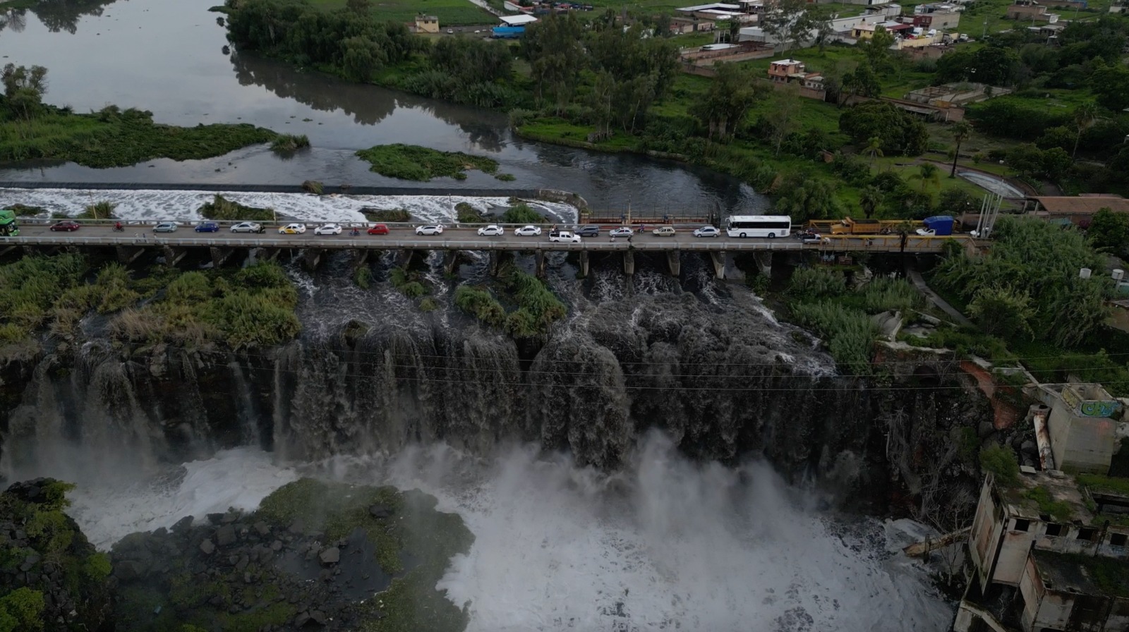 Anemoia por la cascada
