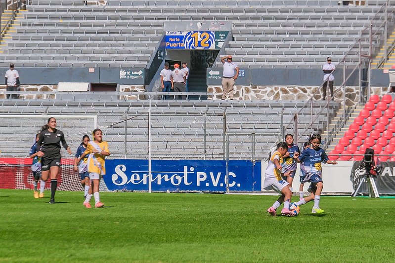 Sentimiento de la Final Infantil en Estadio Jalisco